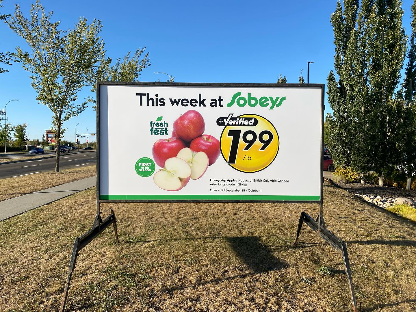 Sherwood Park Signs Services